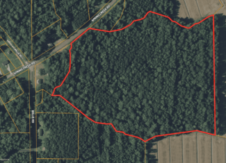 30 Acres Timberland for Sale Near Aurora, NC